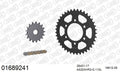 AFAM XS-ring Hyper reinforced Chain & Steel Sprocket Kit, 525 (OE Pitch) - Gold 110 link XS-ring Hyper reinforced chain, 17T steel/39T Steel