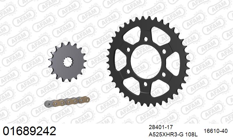AFAM XS-ring Hyper reinforced Chain & Steel Sprocket Kit, 525 (OE Pitch) - Gold 108 link XS-ring Hyper reinforced chain, 17T steel/40T Steel