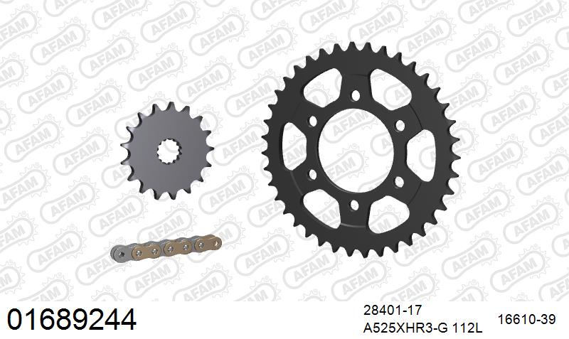 AFAM XS-ring Hyper reinforced Chain & Steel Sprocket Kit, 525 (OE Pitch) - Gold 112 link XS-ring Hyper reinforced chain, 17T steel/39T Steel