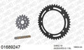 AFAM XS-ring Hyper reinforced Chain & Steel Sprocket Kit, 525 (OE Pitch) - Gold 118 link XS-ring Hyper reinforced chain, 18T steel/44T Steel