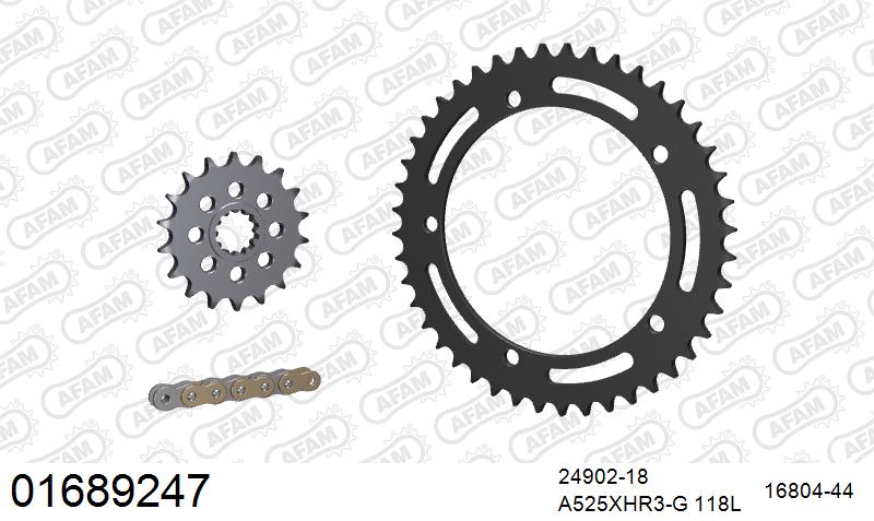 AFAM XS-ring Hyper reinforced Chain & Steel Sprocket Kit, 525 (OE Pitch) - Gold 118 link XS-ring Hyper reinforced chain, 18T steel/44T Steel