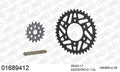 AFAM XS-ring Hyper reinforced Chain & Racing Superlight Steel Sprocket Kit, 520 conversion - Gold 114 link XS-ring Hyper reinforced chain, 1 – Kawasaki ZX-10R / RR 2016–2020