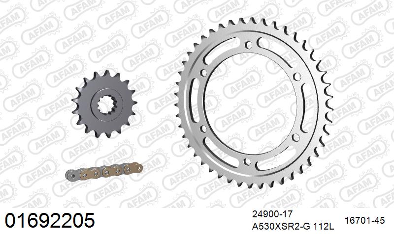 AFAM XS-ring super reinforced Chain & Steel Sprocket Kit, 530 (OE Pitch) - Gold 112 link XS-ring super reinforced chain, 17T steel/45T Steel