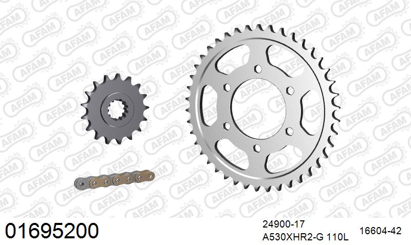 AFAM XS-ring Hyper reinforced Chain & Steel Sprocket Kit, 530 (OE Pitch) - Gold 110 link XS-ring Hyper reinforced chain, 17T steel/42T Steel – Kawasaki ZRX1200R / S 2001–2007