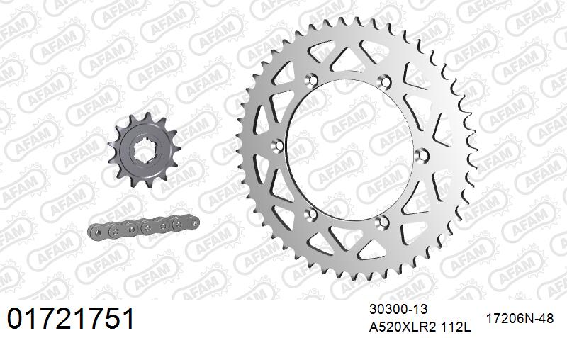 AFAM Xs-Ring Reinforced Plus Chain & Alu Sprocket Kit, 520 (OE Pitch) - Gold 112 link Xs-Ring Reinforced Plus chain, 13T steel/48T Alu sproc