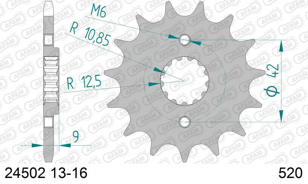 AFAM Xs-Ring Reinforced Plus Chain & Alu Sprocket Kit, 520 (OE Pitch) - Gold 106 link Xs-Ring Reinforced Plus chain, 13T steel/42T Alu sproc
