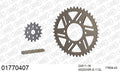 AFAM XS-ring super reinforced Chain & Alu Sprocket Kit, 520 (OE Pitch) - Gold 112 link XS-ring super reinforced chain, 16T steel/43T Alu spr