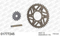 AFAM XS-ring super reinforced Chain & Alu Sprocket Kit, 525 (OE Pitch) - Gold 110 link XS-ring super reinforced chain, 16T steel/43T Alu sprockets