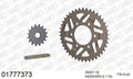AFAM XS-ring super reinforced Chain & Alu Sprocket Kit, 525 (OE Pitch) - Gold 110 link XS-ring super reinforced chain, 16T steel/42T Alu sprockets