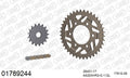 AFAM XS-ring Hyper reinforced Chain & Alu Sprocket Kit, 525 (OE Pitch) - Gold 112 link XS-ring Hyper reinforced chain, 17T steel/39T Alu spr