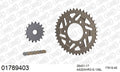 AFAM XS-ring Hyper reinforced Chain & Alu Sprocket Kit, 525 (OE Pitch) - Gold 108 link XS-ring Hyper reinforced chain, 17T steel/40T Alu spr