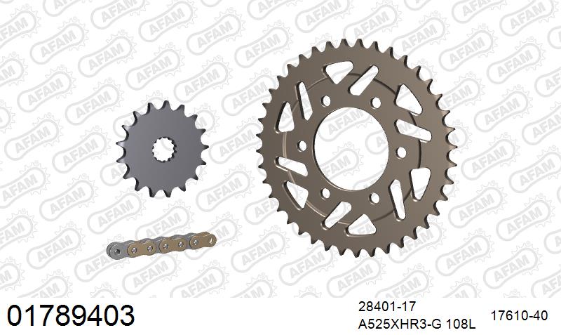 AFAM XS-ring Hyper reinforced Chain & Alu Sprocket Kit, 525 (OE Pitch) - Gold 108 link XS-ring Hyper reinforced chain, 17T steel/40T Alu spr