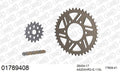 AFAM XS-ring Hyper reinforced Chain & Alu Sprocket Kit, 520 conversion - Gold 110 link XS-ring Hyper reinforced chain, 17T steel/41T Alu spr