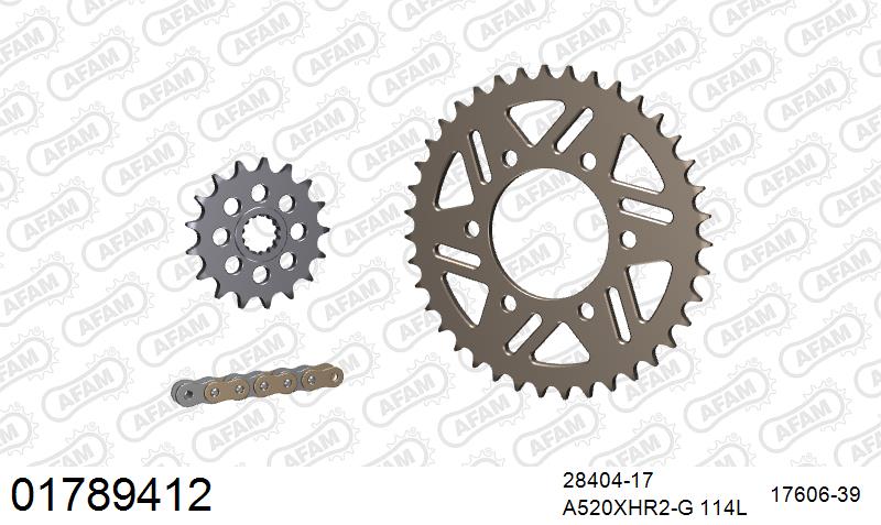 AFAM XS-ring Hyper reinforced Chain & Alu Sprocket Kit, 520 conversion - Gold 114 link XS-ring Hyper reinforced chain, 17T steel/39T Alu spr