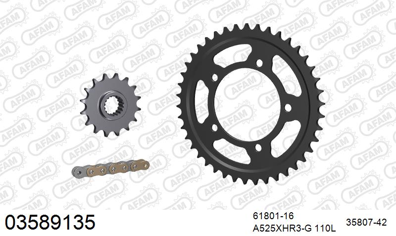 AFAM XS-ring Hyper reinforced Chain & Steel Sprocket Kit, 525 (OE Pitch) - Gold 110 link XS-ring Hyper reinforced chain, 16T steel/42T Steel
