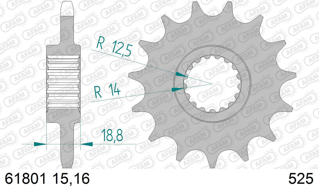 AFAM XS-ring Hyper reinforced Chain & Steel Sprocket Kit, 525 (OE Pitch) - Gold 110 link XS-ring Hyper reinforced chain, 16T steel/42T Steel