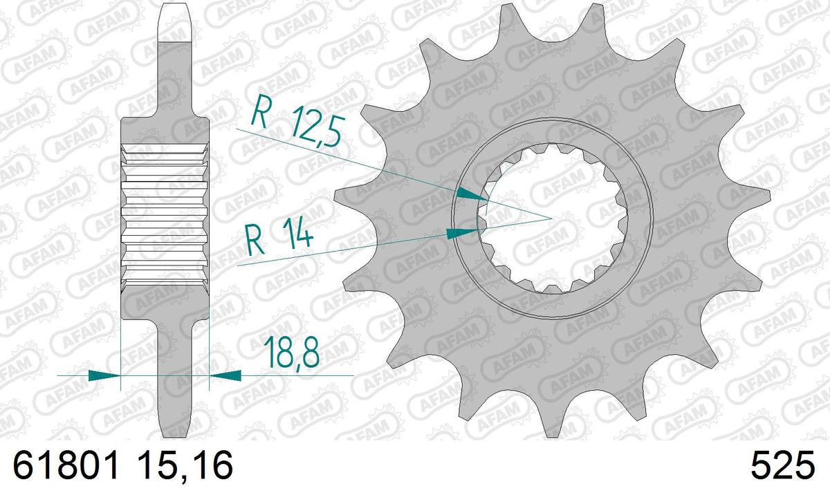 AFAM XS-ring Hyper reinforced Chain & Steel Sprocket Kit, 525 (OE Pitch) - Gold 110 link XS-ring Hyper reinforced chain, 16T steel/42T Steel