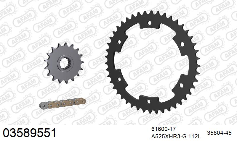 AFAM XS-ring Hyper reinforced Chain & Steel Sprocket Kit, 525 (OE Pitch) - Gold 112 link XS-ring Hyper reinforced chain, 17T steel/45T Steel