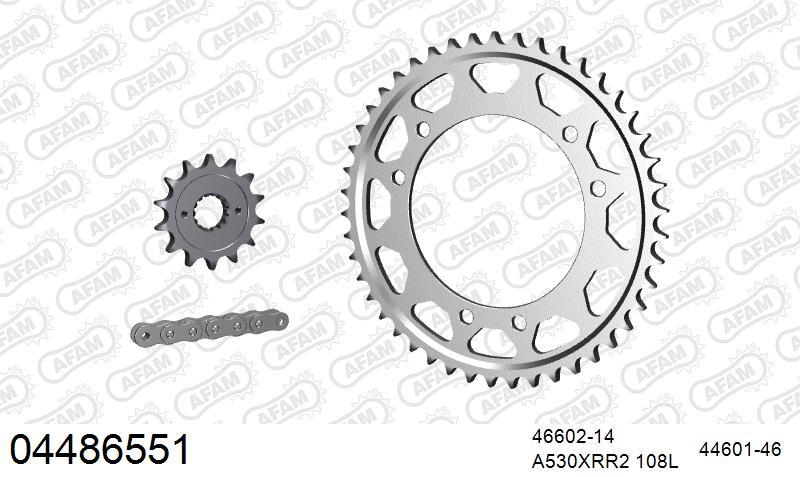 AFAM XS-ring Extra Reinforced Chain & Steel Sprocket Kit, 530 (OE Pitch) - Plain Steel 108 link XS-ring Extra Reinforced chain, 14T steel/46