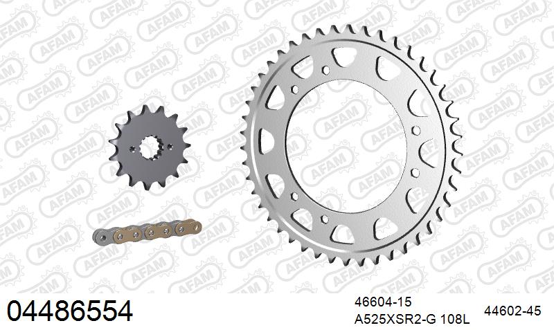 AFAM XS-ring super reinforced Chain & Steel Sprocket Kit, 525 (OE Pitch) - Gold 108 link XS-ring super reinforced chain, 15T steel/45T Steel – Cagiva Gran Canyon (900cc) 1998–2000