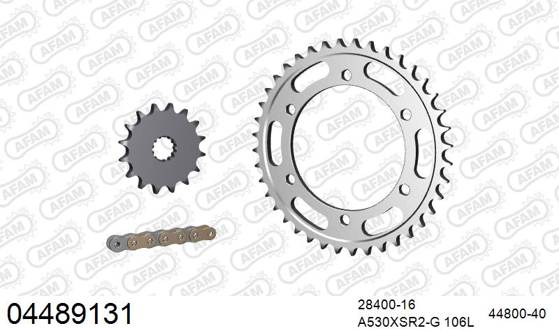 AFAM XS-ring super reinforced Chain & Steel Sprocket Kit, 530 (OE Pitch) - Gold 106 link XS-ring super reinforced chain, 16T steel/40T Steel – Cagiva Raptor / V Raptor 1000 2000–2005