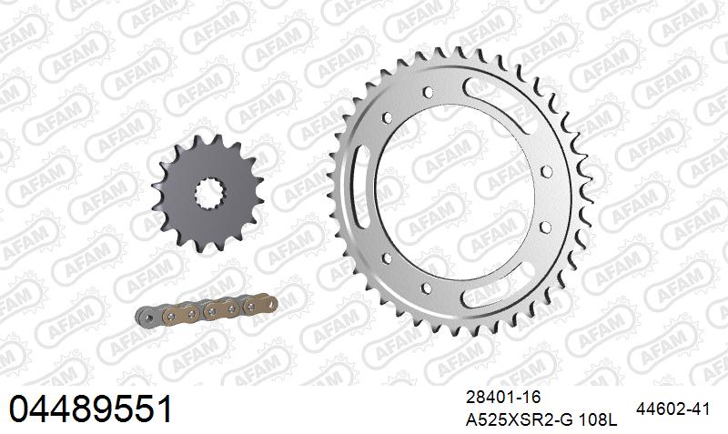 AFAM XS-ring super reinforced Chain & Steel Sprocket Kit, 525 (OE Pitch) - Gold 108 link XS-ring super reinforced chain, 16T steel/41T Steel