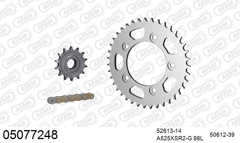 AFAM XS-ring super reinforced Chain & Steel Sprocket Kit, 525 (OE Pitch) - Gold 98 link XS-ring super reinforced chain, 14T steel/39T Steel