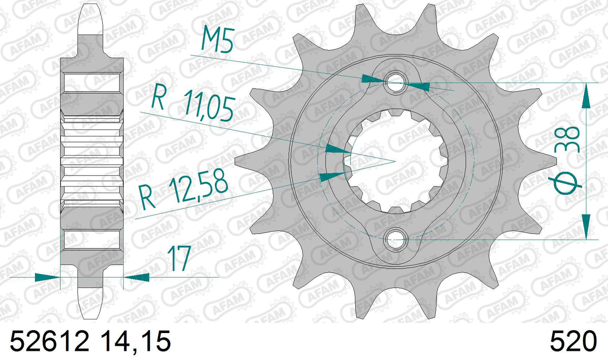 AFAM XS-ring Extra Reinforced Chain & Steel Sprocket Kit, 520 (OE Pitch) - Plain Steel 98 link XS-ring Extra Reinforced chain, 15T steel/38T – Ducati Monster 900 IE 2000–2001