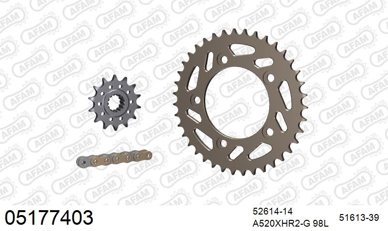 AFAM XS-ring Hyper reinforced Chain & Alu Sprocket Kit, 520 conversion - Gold 98 link XS-ring Hyper reinforced chain, 14T steel/39T Alu spro
