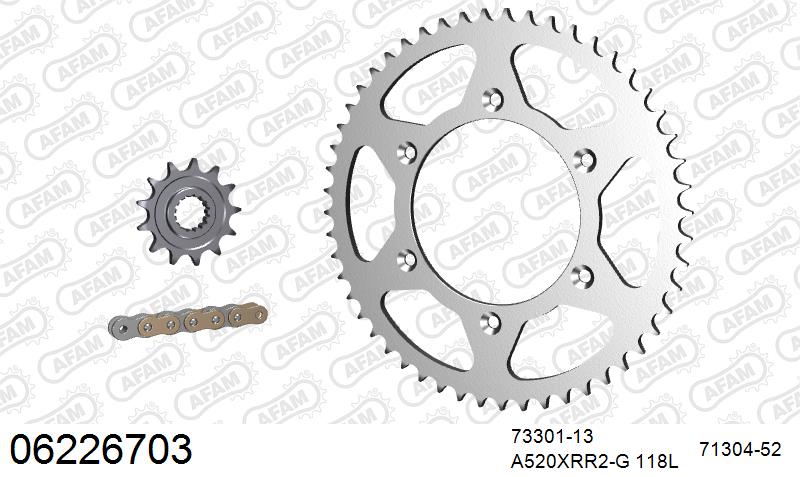 AFAM Xs-Ring Reinforced Plus Chain & Steel Sprocket Kit, 520 (OE Pitch) - Gold 118 link Xs-Ring Reinforced Plus chain, 13T steel/52T Steel s