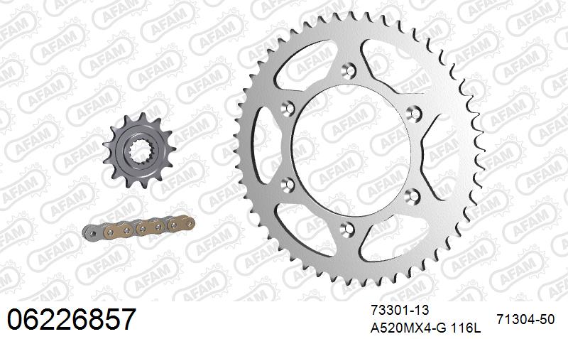 AFAM MX Racing GP Chain & Steel Sprocket Kit, 520 (OE Pitch) - Gold 116 link MX Racing GP chain, 13T steel/50T Steel sprockets (06226857)