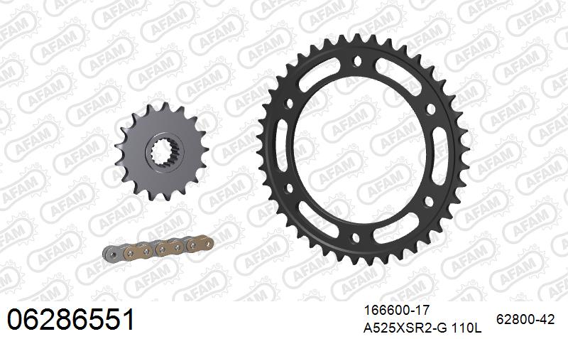 AFAM XS-ring super reinforced Chain & Steel Sprocket Kit, 525 (OE Pitch) - Gold 110 link XS-ring super reinforced chain, 17T steel/42T Steel – Husqvarna Nuda 900 / R 2012–2013