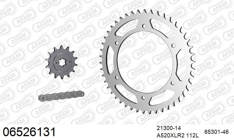 AFAM Xs-Ring Reinforced Plus Chain & Steel Sprocket Kit, 520 (OE Pitch) - Gold 112 link Xs-Ring Reinforced Plus chain, 14T steel/46T Steel s – Hyosung GT250 2004–2015