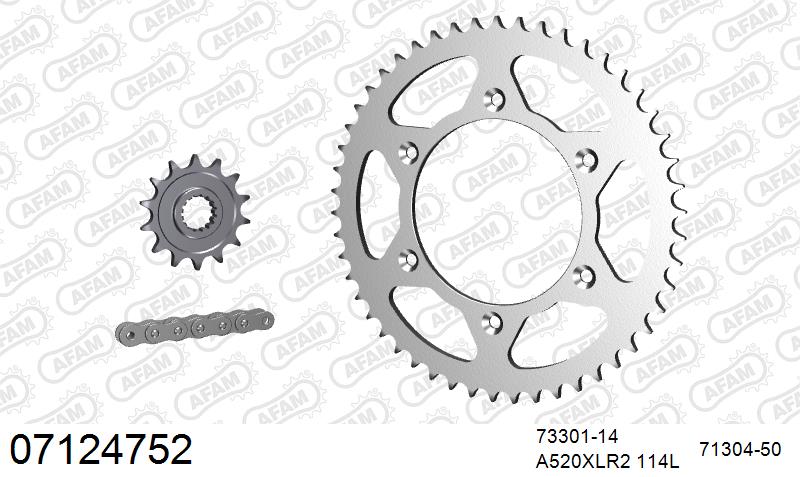 AFAM Xs-Ring Reinforced Plus Chain & Steel Sprocket Kit, 520 (OE Pitch) - Gold 114 link Xs-Ring Reinforced Plus chain, 14T steel/50T Steel s (07124752)