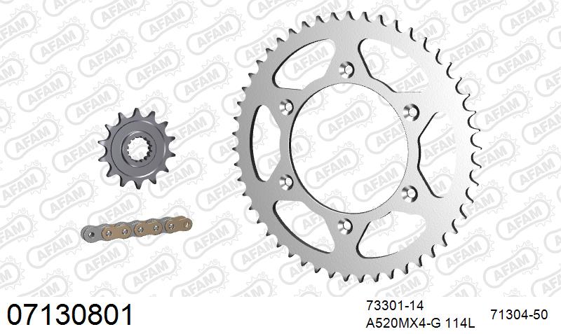 AFAM MX Racing GP Chain & Steel Sprocket Kit, 520 (OE Pitch) - Gold 114 link MX Racing GP chain, 14T steel/50T Steel sprockets (07130801)