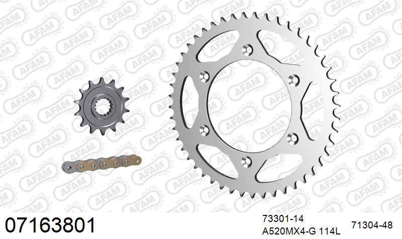 AFAM MX Racing GP Chain & Steel Sprocket Kit, 520 (OE Pitch) - Gold 114 link MX Racing GP chain, 14T steel/48T Steel sprockets – KTM 520 SX Racing 2001–2003