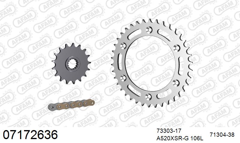 AFAM XS-ring super reinforced Chain & Steel Sprocket Kit, 520 (OE Pitch) - Gold 106 link XS-ring super reinforced chain, 17T steel/38T Steel