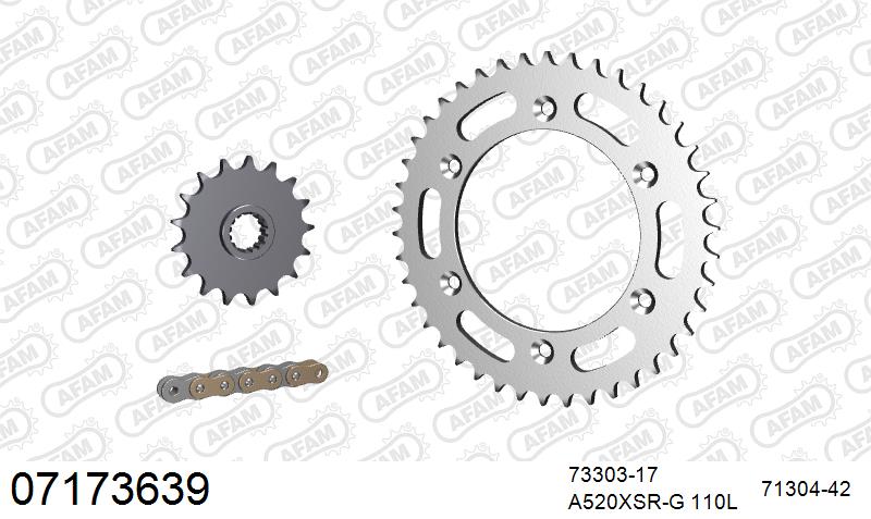 AFAM XS-ring super reinforced Chain & Steel Sprocket Kit, 520 conversion - Gold 110 link XS-ring super reinforced chain, 17T steel/42T Steel