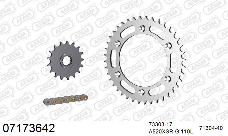 AFAM XS-ring super reinforced Chain & Steel Sprocket Kit, 520 (OE Pitch) - Gold 110 link XS-ring super reinforced chain, 17T steel/40T Steel