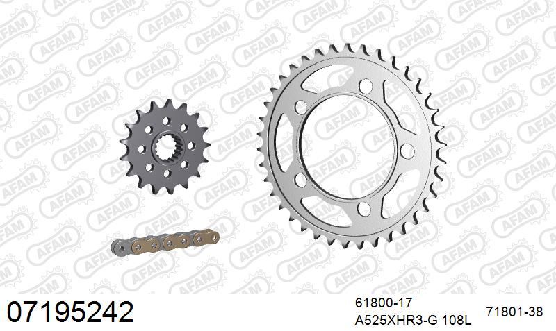 AFAM XS-ring Hyper reinforced Chain & Steel Sprocket Kit, 525 (OE Pitch) - Gold 108 link XS-ring Hyper reinforced chain, 17T steel/38T Steel