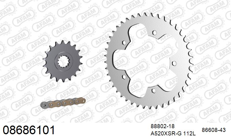 AFAM XS-ring super reinforced Chain & Steel Sprocket Kit, 520 (OE Pitch) - Gold 112 link XS-ring super reinforced chain, 18T steel/43T Steel