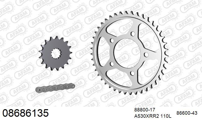 AFAM XS-ring Extra Reinforced Chain & Steel Sprocket Kit, 530 (OE Pitch) - Plain Steel 110 link XS-ring Extra Reinforced chain, 17T steel/43 (08686135)