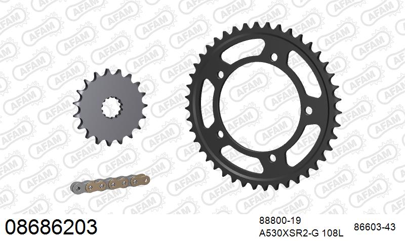 AFAM XS-ring super reinforced Chain & Steel Sprocket Kit, 530 (OE Pitch) - Gold 108 link XS-ring super reinforced chain, 19T steel/43T Steel – Triumph Sprint RS (955cc) 2000