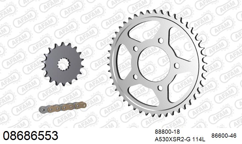 AFAM XS-ring super reinforced Chain & Steel Sprocket Kit, 530 (OE Pitch) – Triumph Tiger 955i 2002–2004