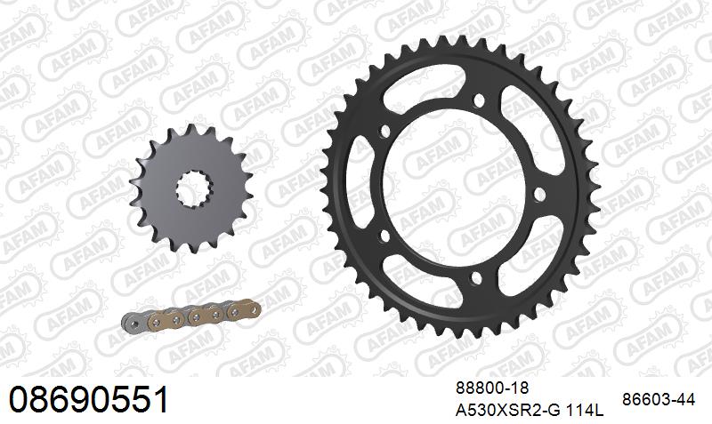 AFAM XS-ring super reinforced Chain & Steel Sprocket Kit, 530 (OE Pitch) - Gold 114 link XS-ring super reinforced chain, 18T steel/44T Steel