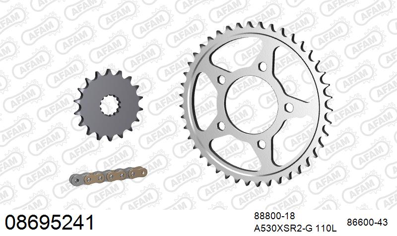 AFAM XS-ring super reinforced Chain & Steel Sprocket Kit, 530 (OE Pitch) - Gold 110 link XS-ring super reinforced chain, 18T steel/43T Steel