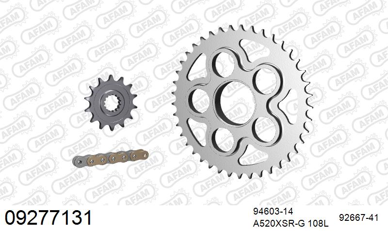 AFAM XS-ring Extra Reinforced Chain & Steel Sprocket Kit, 520 (OE Pitch) – MV Agusta 750 Brutale all models 2001–2002 / MV Agusta F-4 750 [F4] 1999–2001