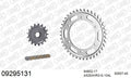 AFAM XS-ring Hyper reinforced Chain & Steel Sprocket Kit, 525 (OE Pitch) - Gold 104 link XS-ring Hyper reinforced chain, 17T steel/40T Steel