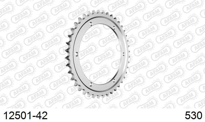 AFAM Rear Sprocket, 530 conversion, Steel - 42T (orig size)