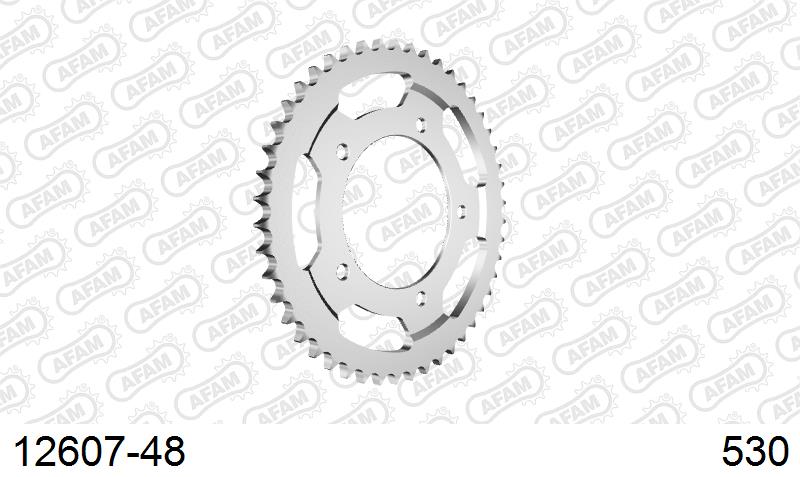 AFAM Rear Sprocket, 530 (OE Pitch), Steel - 48T (orig size) – Yamaha YZF-R6 1999–2002